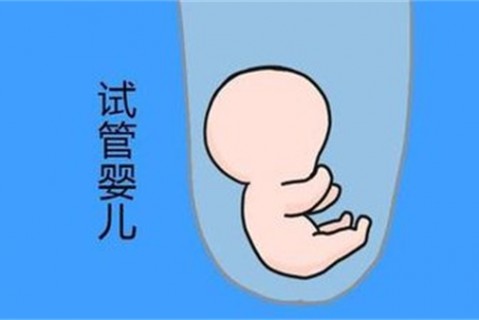 http://suzhou.vdtfzz.com/post/194.html|苏州新闻中心