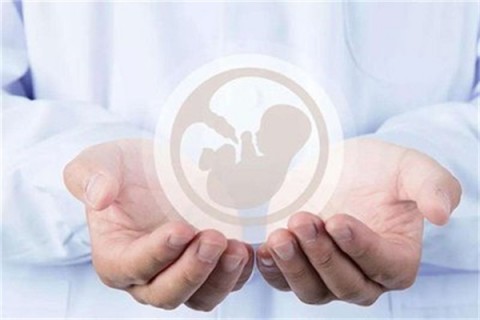 http://suzhou.vdtfzz.com/post/214.html|苏州人工试管