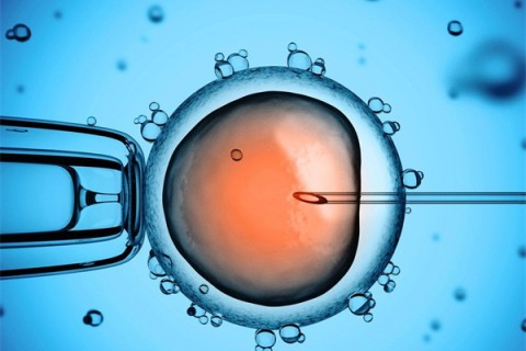 http://suzhou.vdtfzz.com/post/199.html|苏州供卵助孕